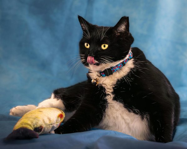 Spitzentechnologie in der Umweltanalyse: Drohnen und Satelliten überwachen Veränderungen